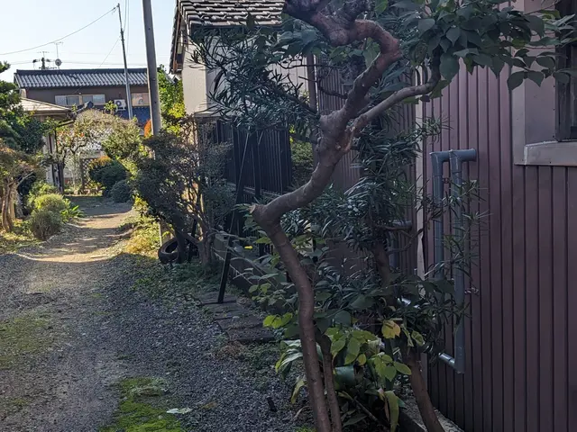 雑草刈り、庭木の手入れ、庭師よりも安くでお庭を綺麗にします。まずは見積もりからサービスの画像