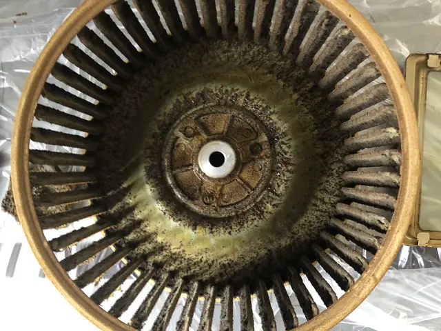 水回りクリーニング3点セット（浴室＋換気扇＋キッチン）サービスの画像