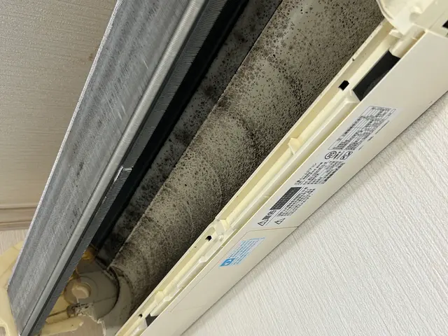 ★くらマデビュー★【電気店で10000台超】【現金払い選択で除菌洗浄サービス】サービスの画像