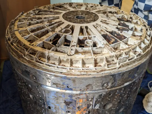 赤ちゃん、ペットにも安心な天然成分で洗浄するから匂いも無く環境にも優しいサービスの画像