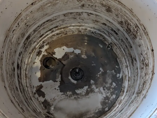 赤ちゃん、ペットにも安心な天然成分で洗浄するから匂いも無く環境にも優しいサービスの画像