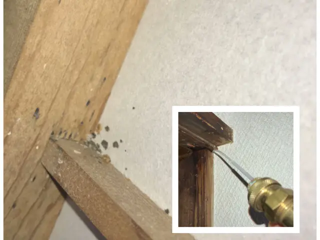 【見積無料】適正価格／実績多数／土日可／カードOK／損保加入／プライバシー厳守サービスの画像