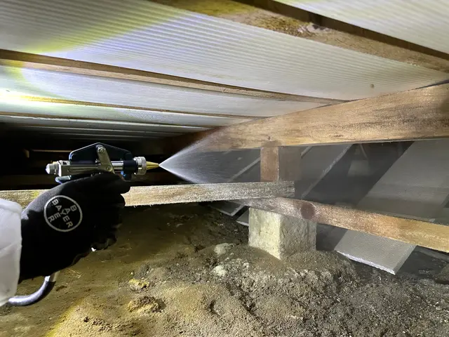 駆除の国家資格も取得。安さでは無く技術で勝負。サービスの画像