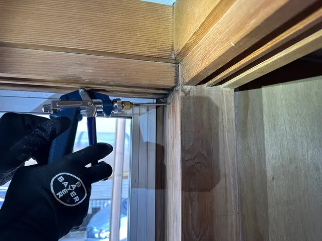 駆除の国家資格も取得。安さでは無く技術で勝負。サービスの画像