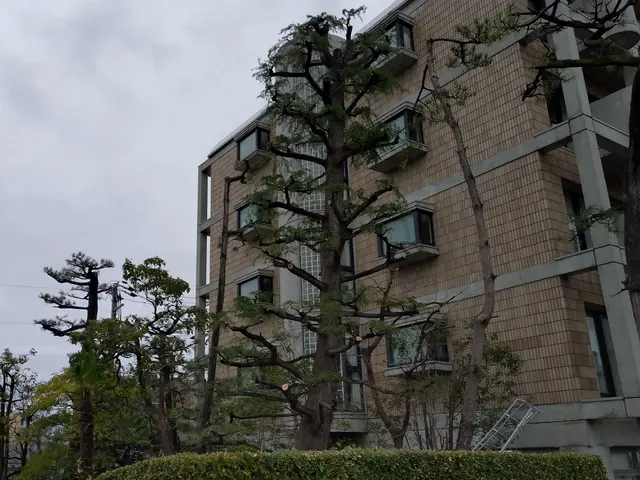 1000件以上の実績！美しい仕上がりと丁寧な作業で感動をお届けサービスの画像