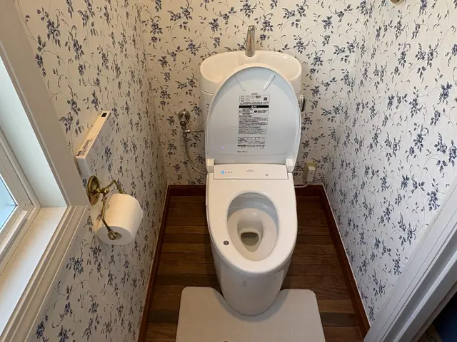 頑固な水垢もプロがきれいに！トイレリーニングサービスの画像