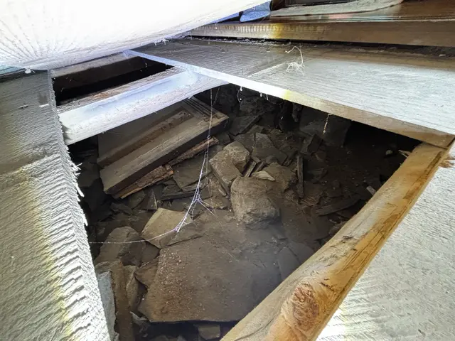 ☆新春キャンペーン料金50%オフ☆『虫バリア付き』【害虫駆除/ゴキブリ】サービスの画像