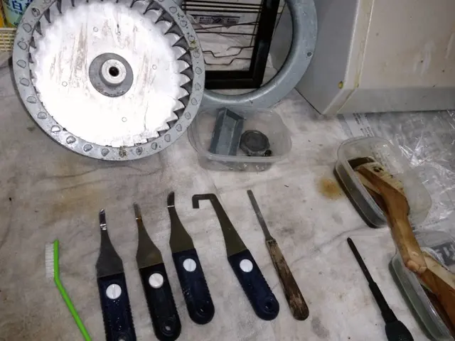 換気扇・レンジフード分解クリーニング・油汚れ除去サービスの画像