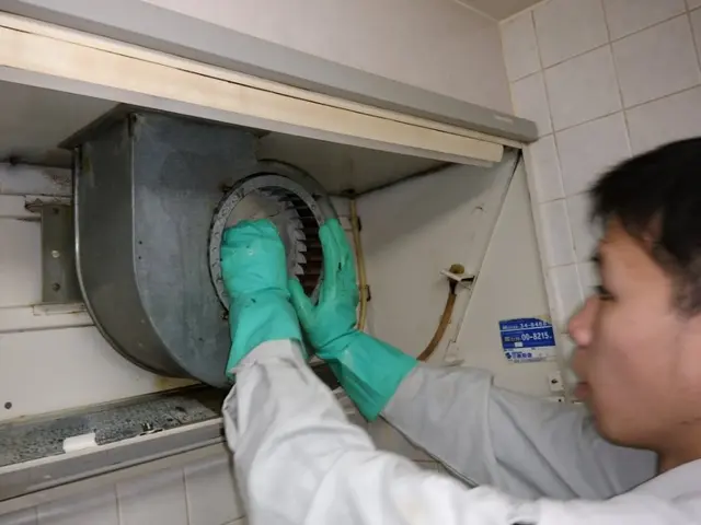 換気扇・レンジフード分解クリーニング・油汚れ除去サービスの画像