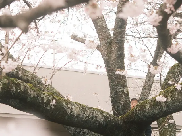 【家族写真】東京カメラ部✕富士フイルム10選2025フォトコン大賞受賞の写真