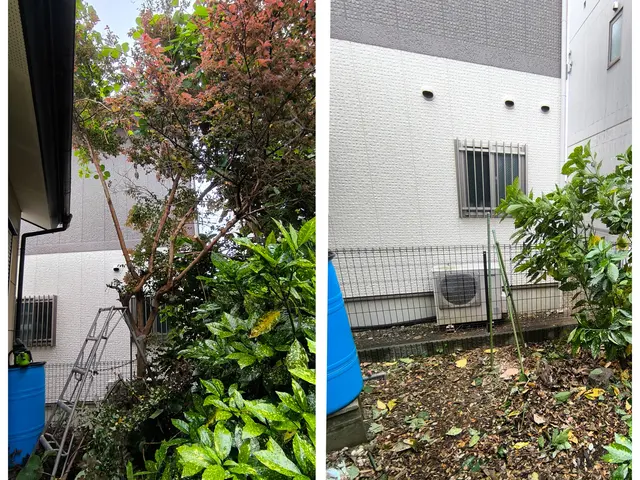 豊富な経験と知識で安心！小さな木1本からでもどうぞ！サービスの画像