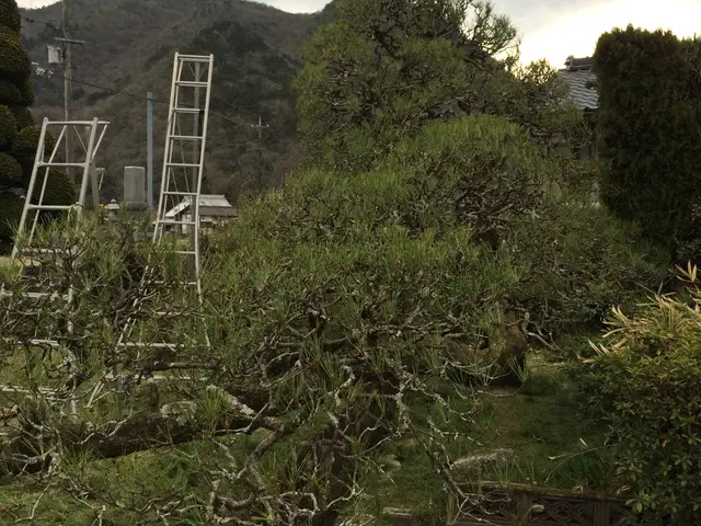 【職人歴20年の実績】◎お庭DIYのアドバイスも実施中！(*'ω'*)サービスの画像