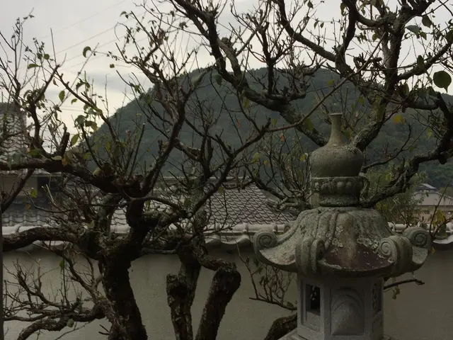 【職人歴20年の実績】◎お庭DIYのアドバイスも実施中！(*'ω'*)サービスの画像