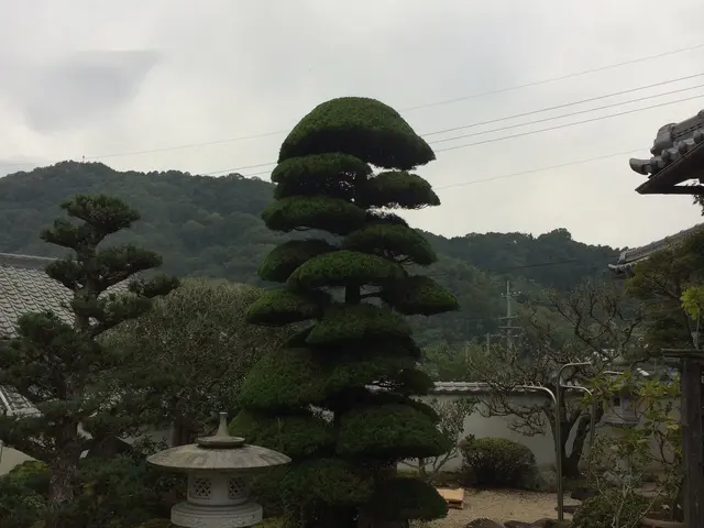 【職人歴20年の実績】◎お庭DIYのアドバイスも実施中！(*'ω'*)サービスの画像