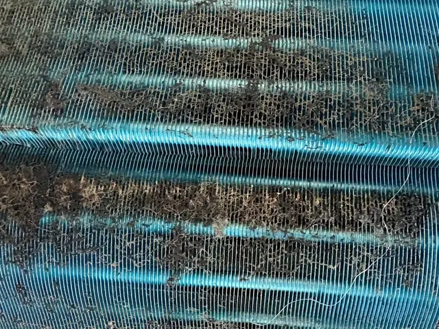 エアコンクリーニング / 壁掛けタイプサービスの画像