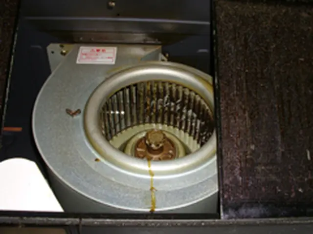 レンジフードクリーニング（フード付きタイプ）サービスの画像