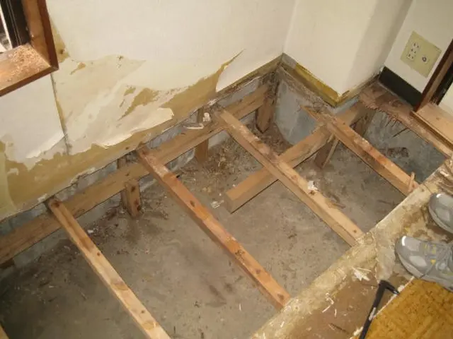 シロアリ施工後安心の5年保証！365日24時間対応中。対応地域現場調査・無料見積サービスの画像