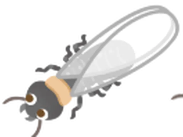 シロアリ施工後安心の5年保証！365日24時間対応中。対応地域現場調査・無料見積サービスの画像