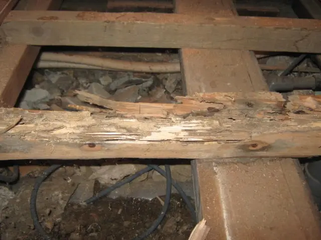 シロアリ施工後安心の5年保証！365日24時間対応中。対応地域現場調査・無料見積サービスの画像