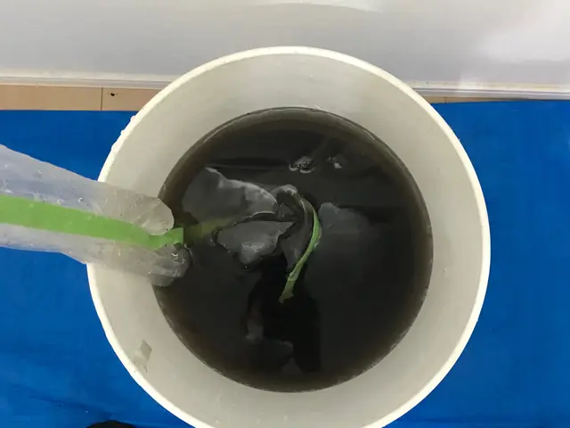 《最後まで写真の私が丁寧にご対応します！》安心の損害保険加入　お掃除機能付き不可サービスの画像