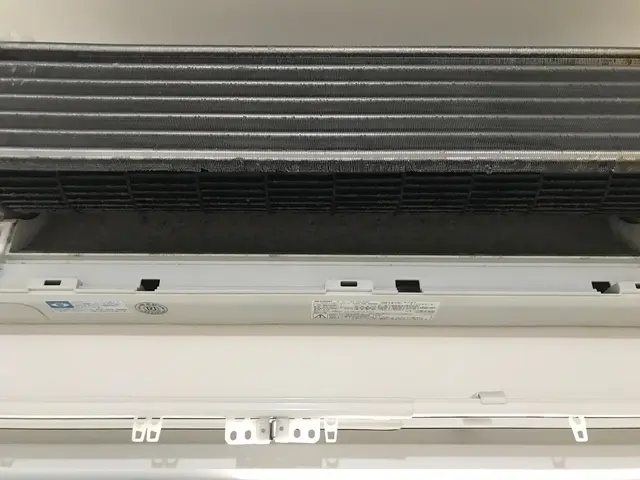 《最後まで写真の私が丁寧にご対応します！》安心の損害保険加入　お掃除機能付き不可サービスの画像