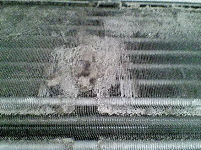 ★赤ちゃんも安心エコ洗剤★除菌、消臭、防カビ処理、防汚コーティング無料！サービスの画像