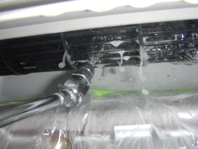 ★赤ちゃんも安心エコ洗剤★除菌、消臭、防カビ処理、防汚コーティング無料！サービスの画像