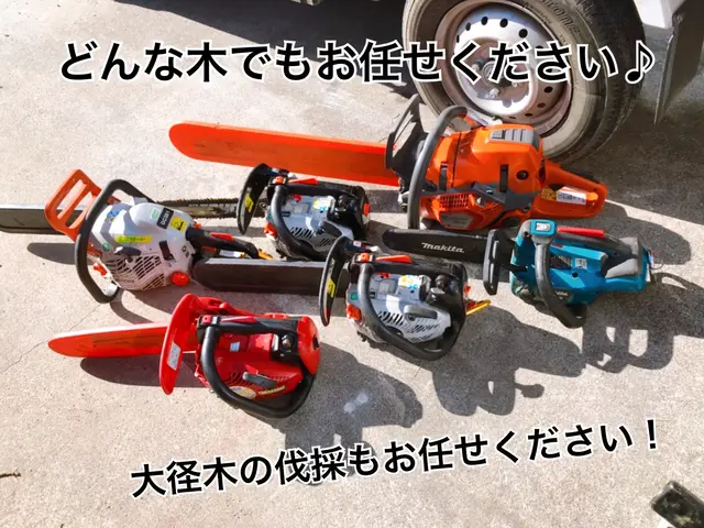 小さなものから大径木までなんでもお任せください！年始よりご予約可能ですサービスの画像