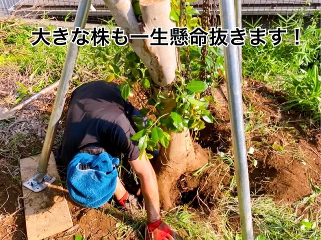 小さなものから大径木までなんでもお任せください！年始よりご予約可能ですサービスの画像