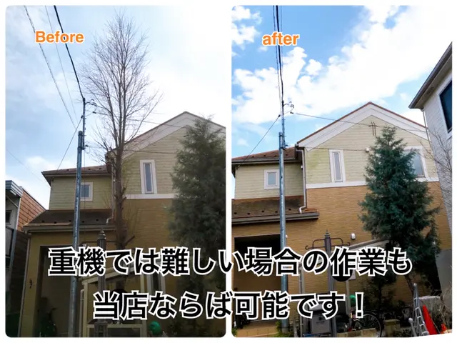 小さなものから大径木までなんでもお任せください！年始よりご予約可能ですサービスの画像