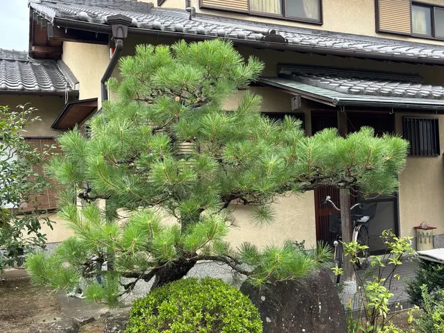 できる事は全部させてもらいます！サービスの画像