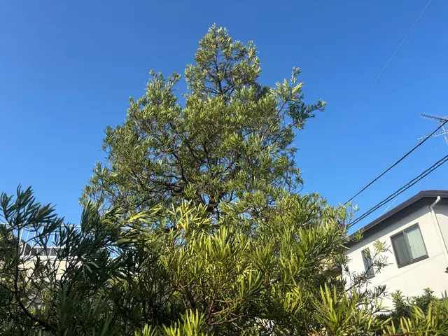 できる事は全部させてもらいます！サービスの画像