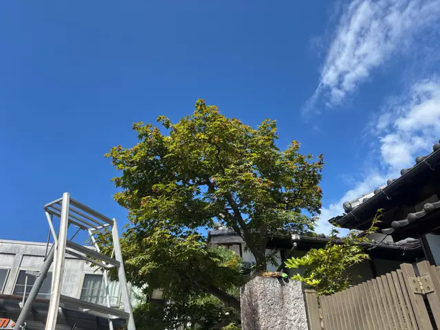 できる事は全部させてもらいます！サービスの画像