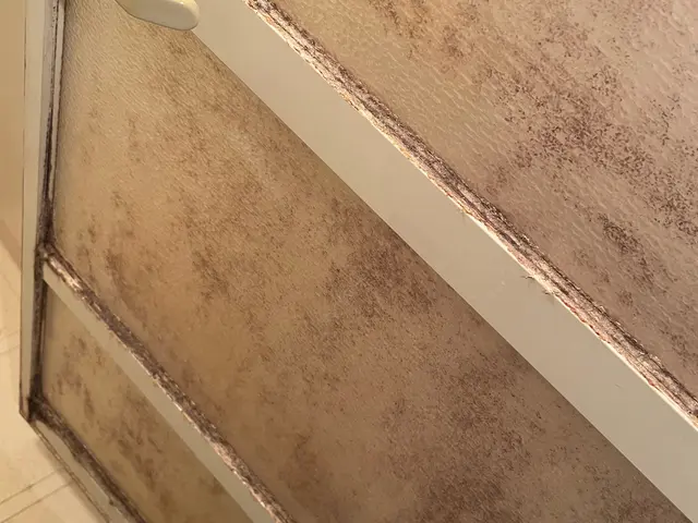 【埼玉】対応速度◎レスポンス◎お客様と目線合わせて作業します！！お任せください！サービスの画像