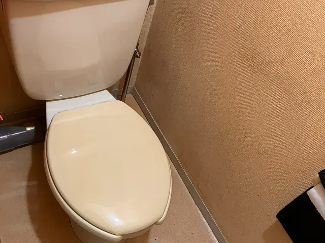 プロの技術でご満足いただけるように心を込めて作業いたしますサービスの画像