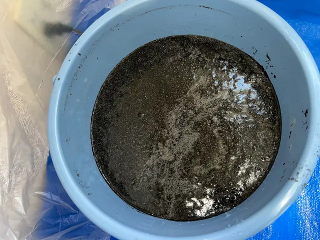 昨年700台の実績！大手出身店長による丁寧説明と高速仕上げサービスの画像