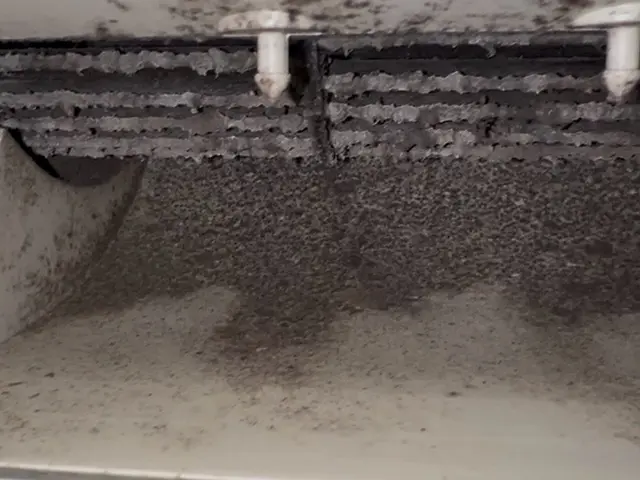 昨年700台の実績！大手出身店長による丁寧説明と高速仕上げサービスの画像