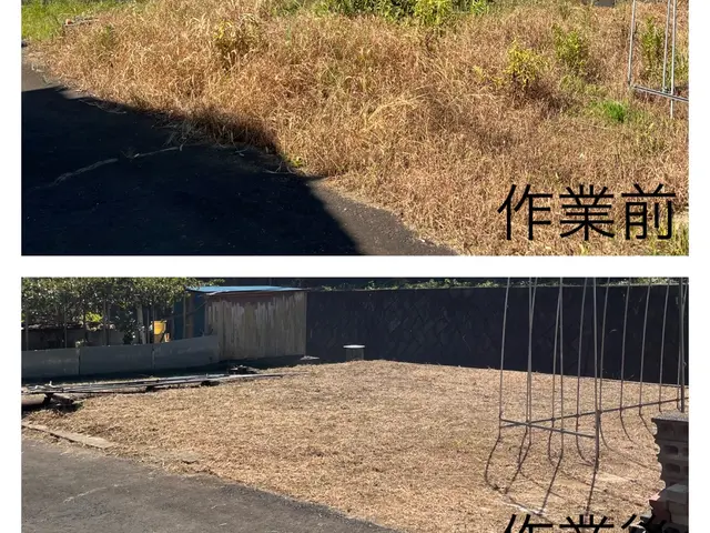 茨城県石岡市発◎草刈りの事ならお任せください！サービスの画像