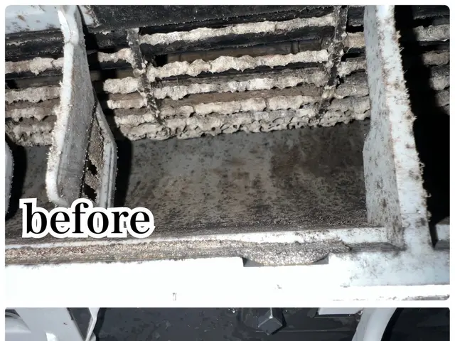 黒カビや臭いを徹底洗浄★優しい洗剤でアレルギーの方でも安心◎誠実・丁寧な対応◎サービスの画像