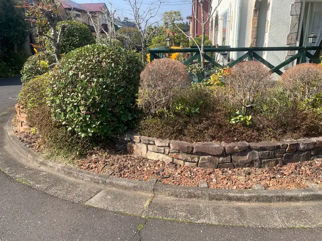 植物を愛する植木屋が見極める剪定！必要な植物はしっかり残します。サービスの画像