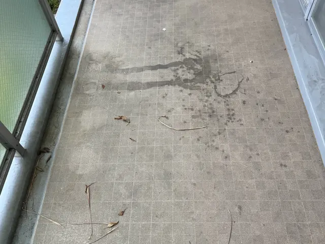 10年の経験で輝くベランダ！丁寧作業で驚きの清潔感サービスの画像