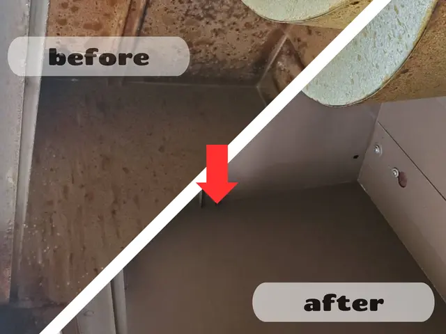 【換気扇カタツムリ内も洗浄】業務用のお問い合わせ可★サービスの画像