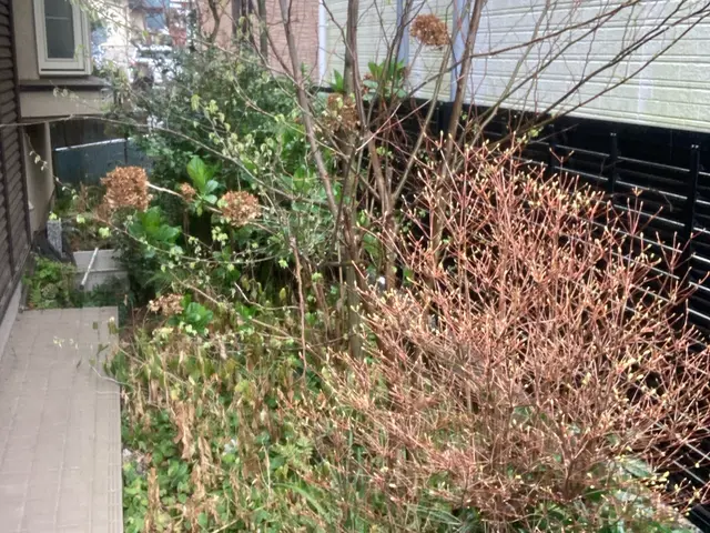 防草シートでお庭のお手入れをもっと楽に！サービスの画像