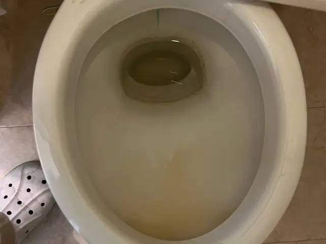 ◎業務用洗剤でピカピカに◎洗浄機能便座も◎作業外注一切なしサービスの画像