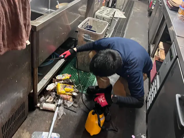 ☆完全駆除☆無料見積り可☆巣ごと根絶やし☆環境改善☆早朝深夜作業可☆保証無料☆サービスの画像