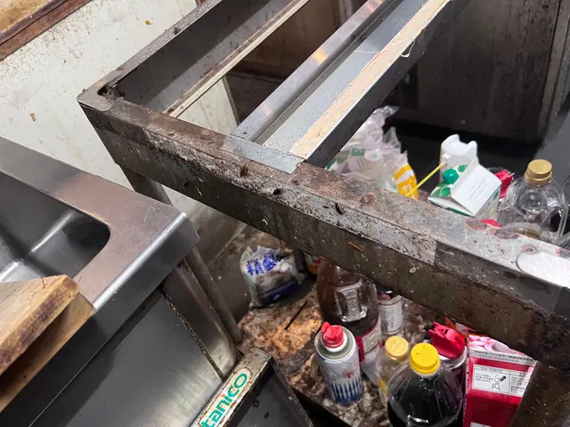 ☆完全駆除☆無料見積り可☆巣ごと根絶やし☆環境改善☆早朝深夜作業可☆保証無料☆サービスの画像