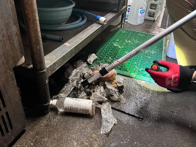 ☆完全駆除☆無料見積り可☆巣ごと根絶やし☆環境改善☆早朝深夜作業可☆保証無料☆サービスの画像