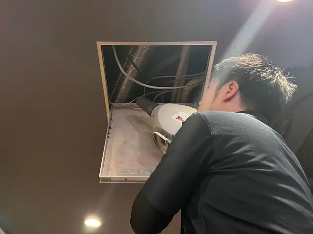 ☆完全駆除☆無料見積り可☆巣ごと根絶やし☆環境改善☆早朝深夜作業可☆保証無料☆サービスの画像