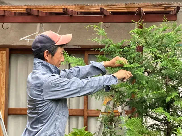 【1級造園施工管理技士】　緑のある素敵なお住まいで快適に暮らすお手伝い！サービスの画像