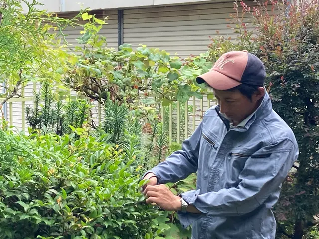 【1級造園施工管理技士】　緑のある素敵なお住まいで快適に暮らすお手伝い！サービスの画像